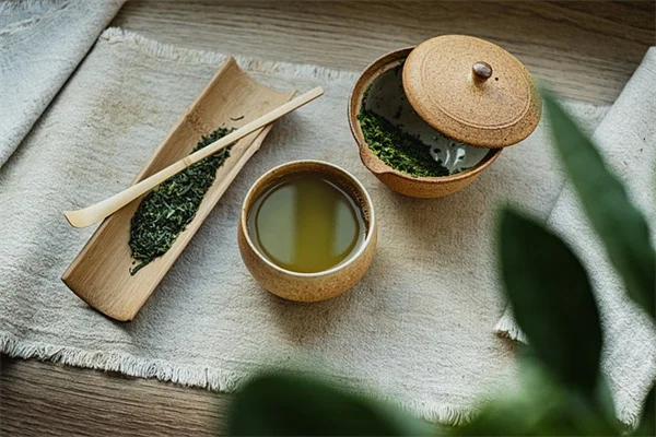 How I Propagate Oregano From Cuttings (And You Can Too)