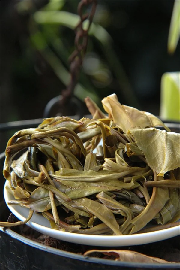 Does Vinegar Keep Cut Flowers Fresh? 5 Tips for Longer Blooms