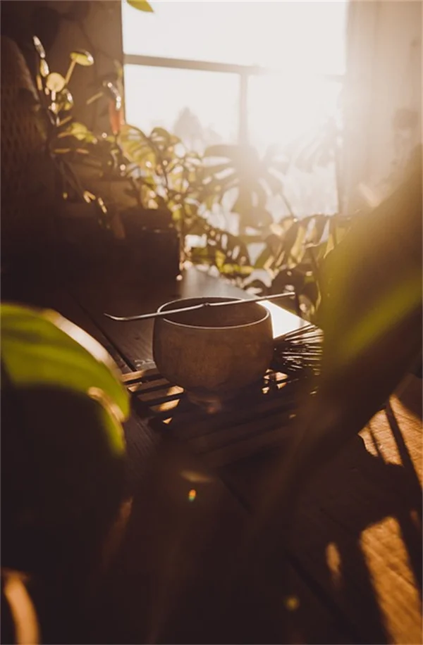 Indoor Vertical Garden: 5 Mistakes to Avoid for a Thriving Wall